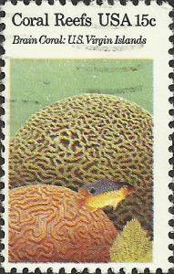 # 1827 USED BRAIN CORAL BEAUGREGORY FISH