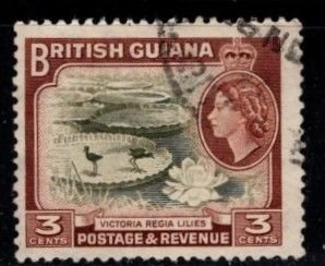 British Guiana - #255 Victoria Regia Lilies Flowers - Used