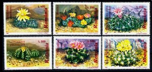 ROMANIA 1997 - Cactus flowers /complete set MNH