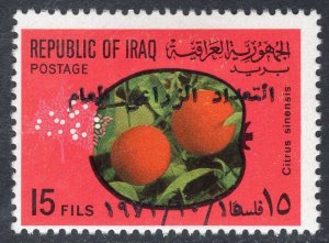 IRAQ SCOTT 614