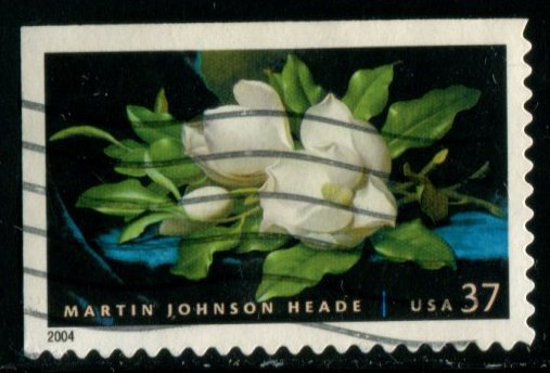 3872 US 37c Martin Johnson Heade SA, used