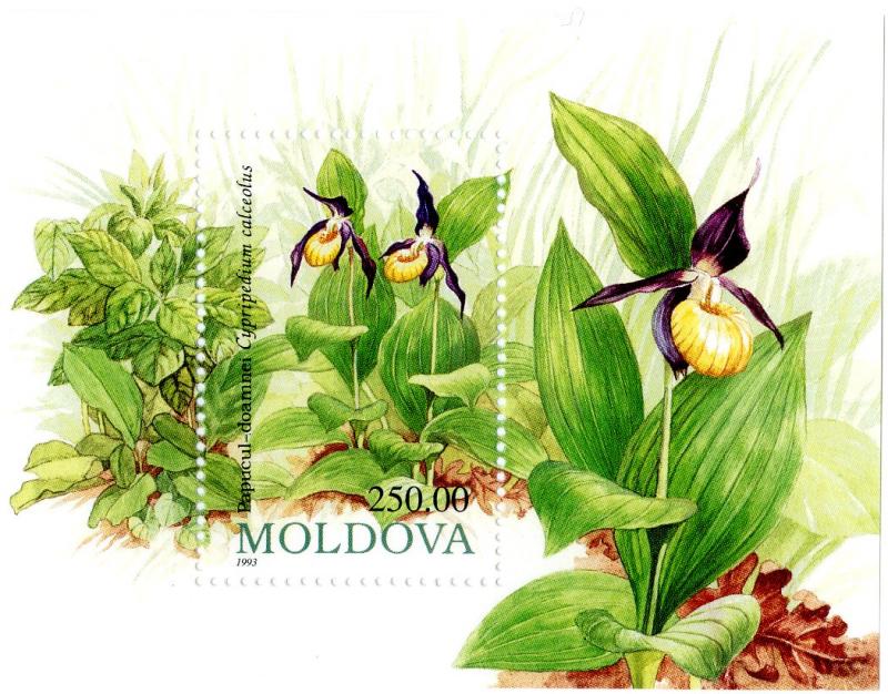 MOLDOVA 104 MNH S/S SCV $3.00 BIN $2.00 FLOWERS