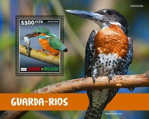 Guinea-Bissau Birds on Stamps 2020 MNH Kingfishers Common Kingfisher 1v S/S