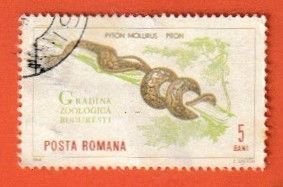 ROMANIA SCOTT#1677 1964 5b INDIAN PYTHON - USED
