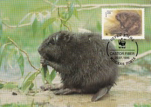 Belarus 1995 Maxicard Sc #118 450r European beaver WWF