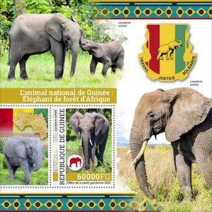 GUINEA - 2022 - African Forest Elephant - Perf Souv Sheet - Mint Never Hinged