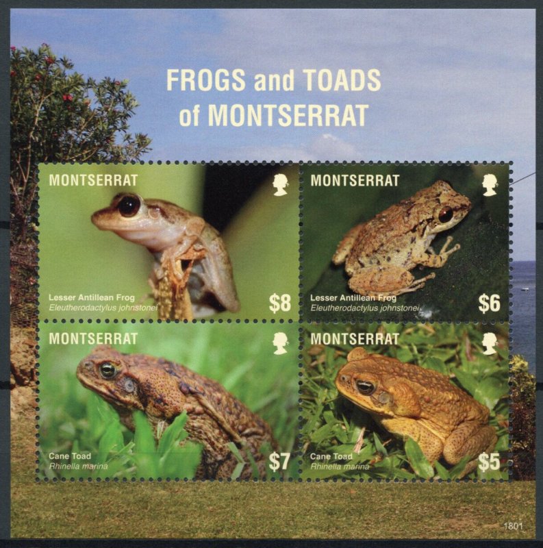 Montserrat Stamps 2018 MNH Frogs & Toads Cane Toad Amphibians 4v M/S