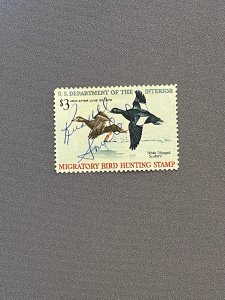 RW36, White-Winged Scooters, Used, CV $12.00