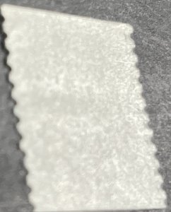 U.S.# 2905-MINT NEVER/HINGED--SINGLE--BULK RATE--1995