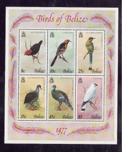 Belize-Sc#392a- id9-unused NH sheet-Birds-1977-