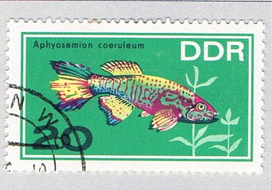 Germany DDR 868 Used Fish Blue Gularis 1966 (BP83409)