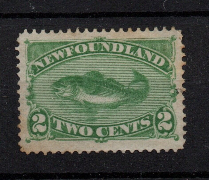 Newfoundland 1880 2d Cod yellow green MH SG46 WS34677