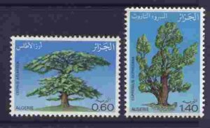 Algeria 660-1 MNH Arbor Day, Cedar Tree, Cyprus Tree