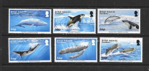 WHALES - BRITISH ANTARCTIC TERRITORY #501-6  MNH