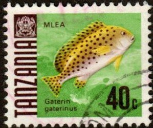 Tanzania 24 - Used - 40c Sweetlips (1967) +