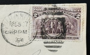 1893 US Postage Stamp (Scott #231) On 1894 Cover w/broken frame