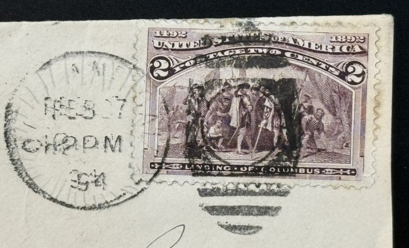 1893 US Postage Stamp (Scott #231) On 1894 Cover w/broken frame