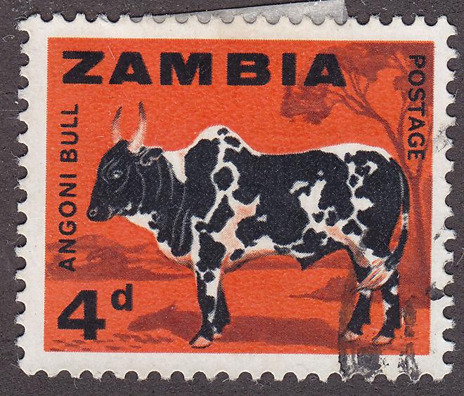 Zambia 8 USED 1964 Angoni Bull