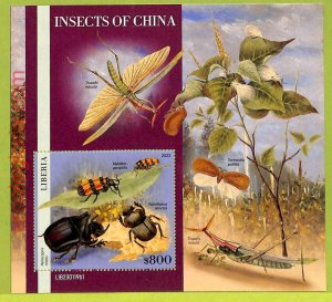 B0536 - LIBERIA - Stamp Sheet - 2023 - INSECTS, Butterflies-