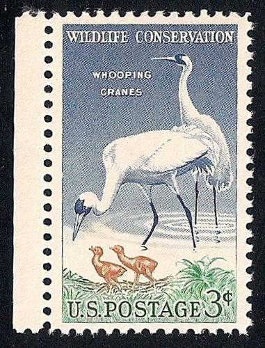 1098 3 cent Wildlife Whooping Crane mint OG NH EGRADED VF 80