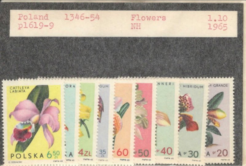 Poland 1346-1354 MNH Flowers 1965 VF