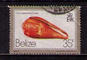 BELIZE Sc# 480 USED F Seashell Conus Granulatus Glory Atlntc