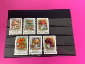 Hungary 1986 MNH Toadstools Fungi Stamps    R40596