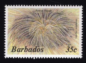 Barbados Scott #648 Stamp - Mint NH Single