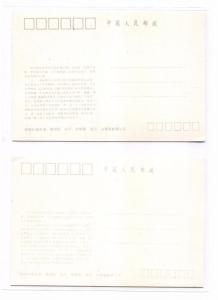 MS2678* 1989 CHINA PRC *Maxi Card* FDCs Brown Eared Pheasant Postcards Pair {2}