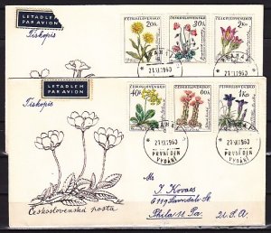 Czechoslovakia, Scott cat. 1013-1018, Various Flowers. First day covers. ^
