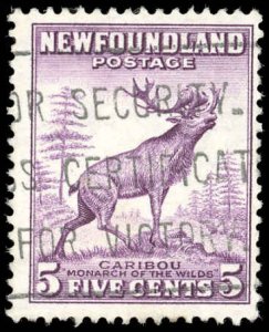 Newfoundland Scott 190 F-VF Used 1932 5¢ Caribou - Die I - Nice stamp