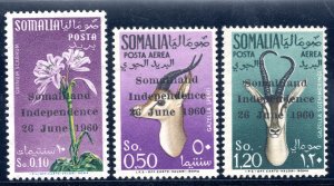 Somalia Indipendence - Overprintti Somaliland Indipendence 26 June 1960