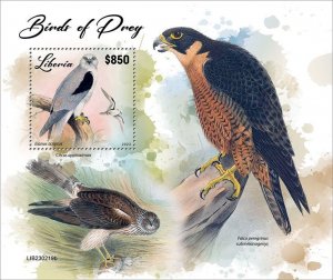 LIBERIA- 2023 - Birds of Prey - Perf Souv Sheet - Mint Never Hinged