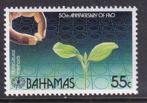 Bahamas 836 MNH VF