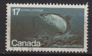 Canada 1980 Scott 853 used - 17c Whitefish, Wildlife protect