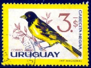 Bird, Hooded Siskin, Uruguay stamp SC#C260 used