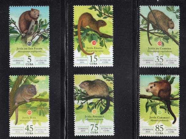 CUBA Sc# 5806-5811  RODENTS rats mice CPL SET of 6 stamps 2016  MNH mint