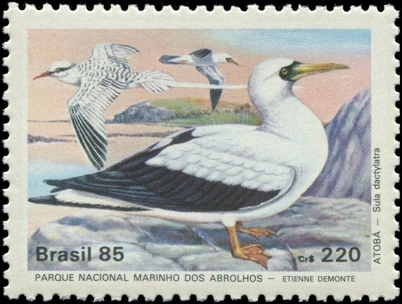 Brazil 1985 Sc 2001-2004 Frigatebird Booby Noddy Plover 