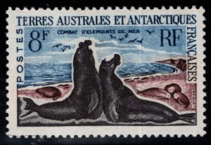 FSAT TAAF Scott 22 MH* Elephant Seals stamp