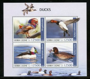 SIERRA LEONE 2019 DUCKS SHEET  MINT NEVER HINGED