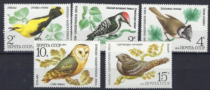 Russia 4776-80 MNH 1979 Birds (an8211)