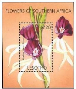 LESOTHO SHEET FLOWERS ORCHIDS 