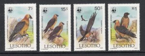 Lesotho Sc 512-515 MNH. 1986 WWF Birds of Prey issue, complete set, VF.