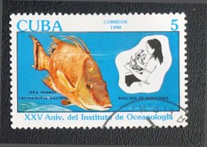 CUBA Sc# 3225  OCEANOGRAPHY  INSTITUTE  Marine Life fish 5c  1990  used cto