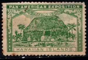 1901 US Poster Stamp Pan American Exposition Hawaiian Islands Unused