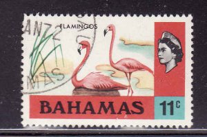 Bahamas-Sc #322-used-11c Flamingo-Birds-1971-