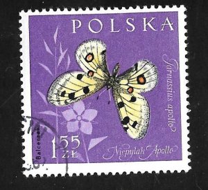 Poland 1961 - U - Scott #1038