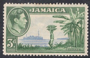 JAMAICA SCOTT 121