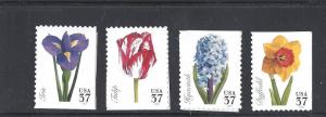 US Scott # 3900 - 3903  // Spring Flowers  2005 Set Of Singles MNH