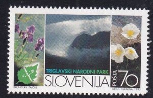 Slovenia  #231 MNH 1995 nature conservation year